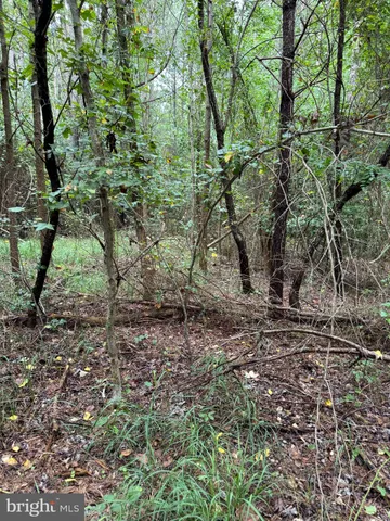 a green field with lots of trees