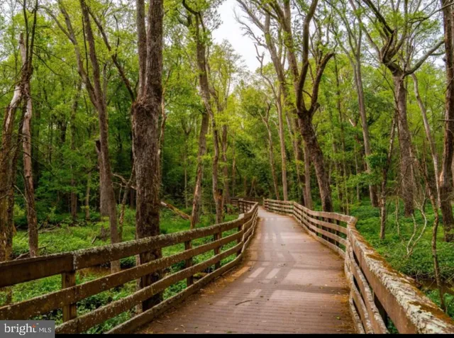 a view of a balcony with trees