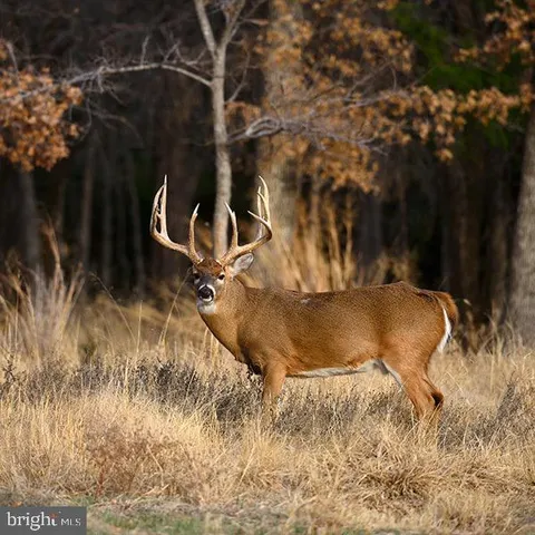 a view of a backyard of the house