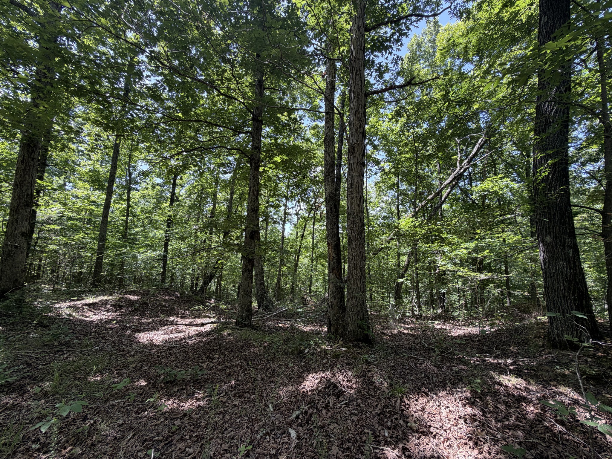 215 Bar Bee Road Hohenwald, TN 38462 - Photo 32 of 51