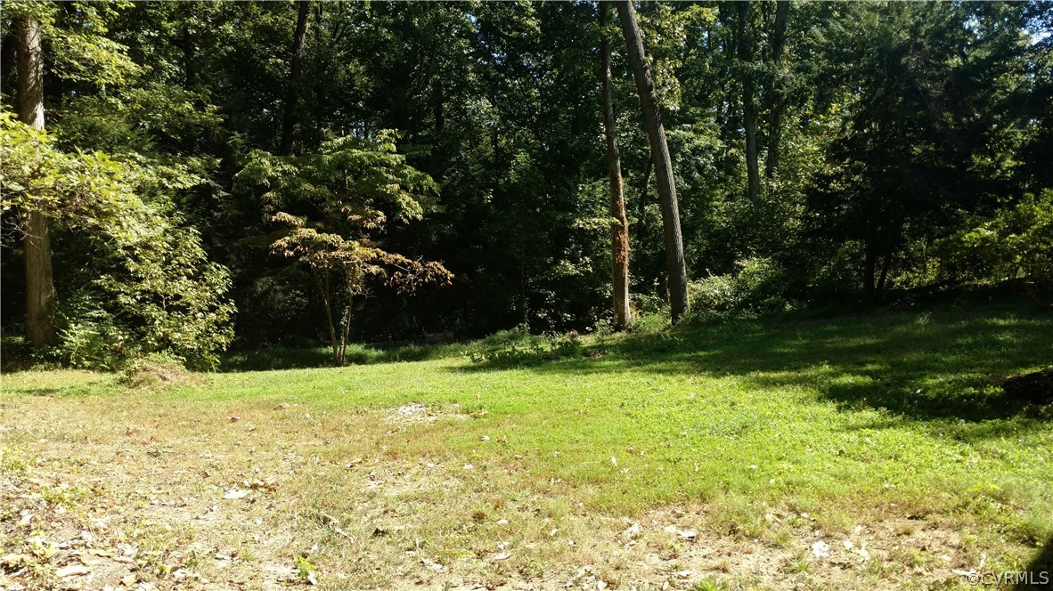 8316 Abbey Road Richmond, VA 23235 - Photo 15 of 15 a backyard of a house with lots of green space