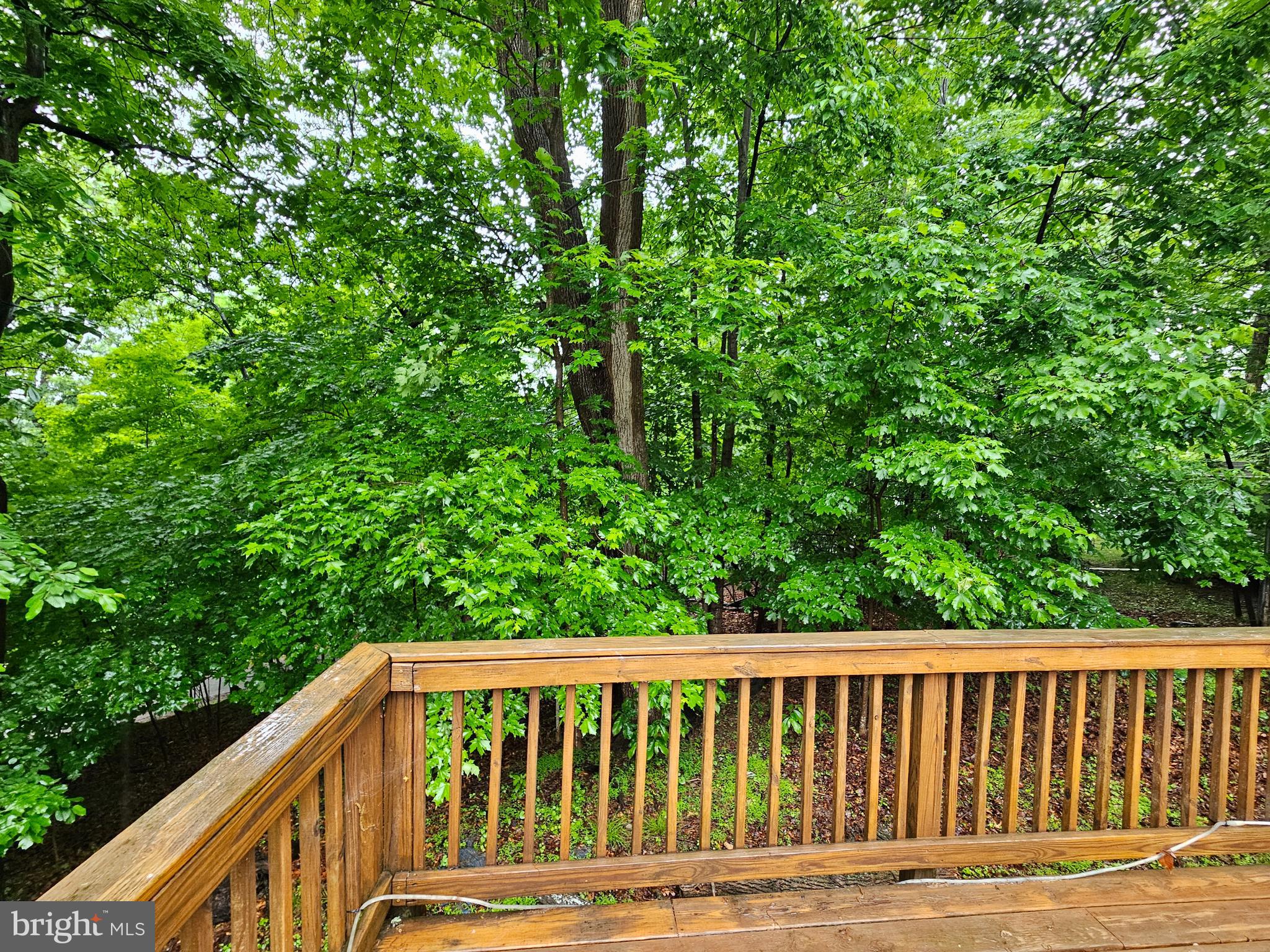18 Hot Dog Road Falling Waters, WV 25419 - Photo 11 of 35 a balcony with wooden floor