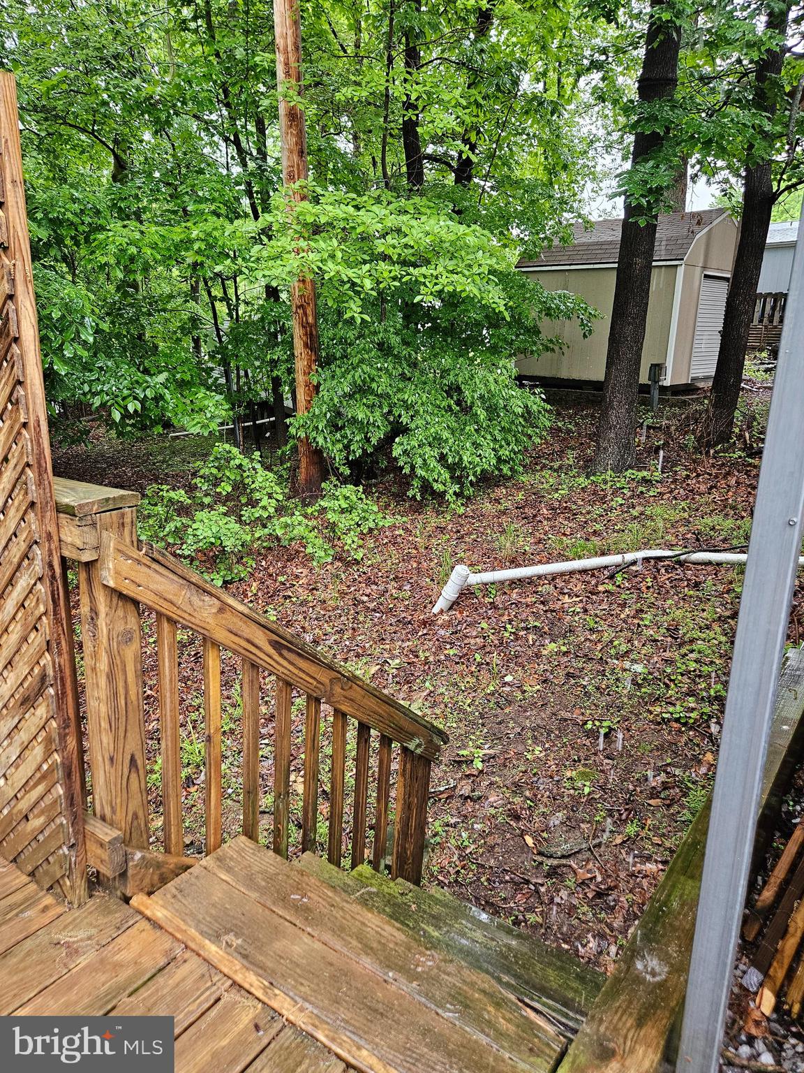 18 Hot Dog Road Falling Waters, WV 25419 - Photo 13 of 35 a view of a pathway both side of house