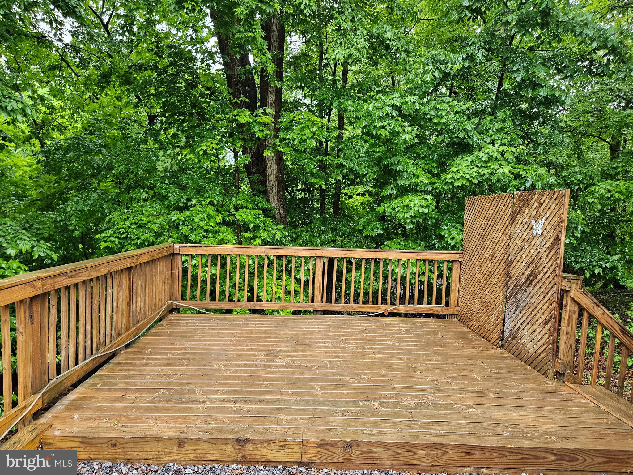 18 Hot Dog Road Falling Waters, WV 25419 - Photo 10 of 35 a view of deck and a yard