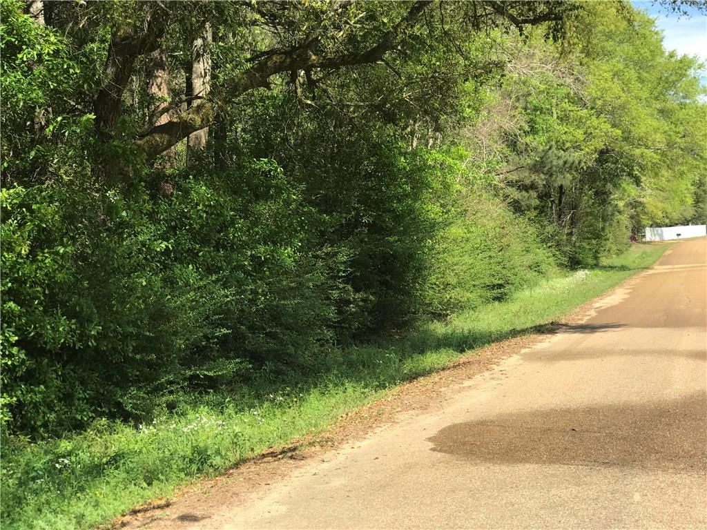 0 Keating Road Covington, LA 70435 - Photo 2 of 4
