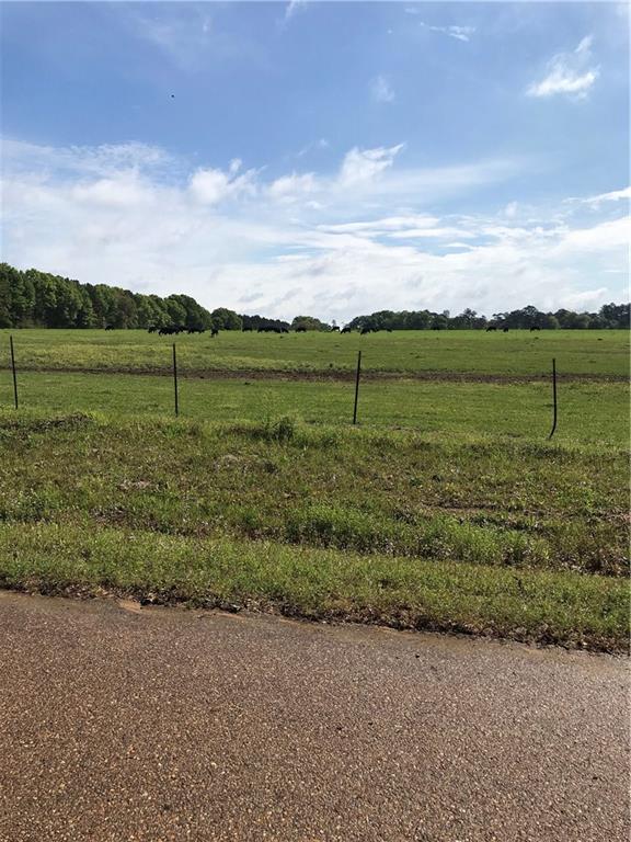 0 Keating Road Covington, LA 70435 - Photo 3 of 4