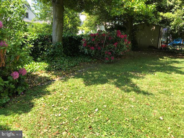 918 Rhawn Street Philadelphia, PA 19111 - Photo 31 of 44 Backyard view of lovely landscaping
