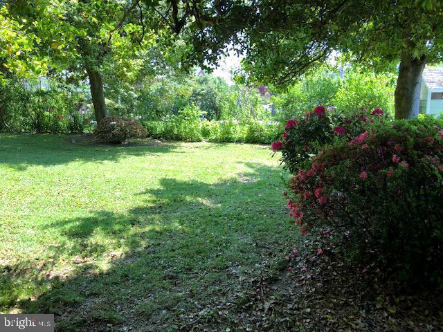918 Rhawn Street Philadelphia, PA 19111 - Photo 32 of 44 Nature's paradise