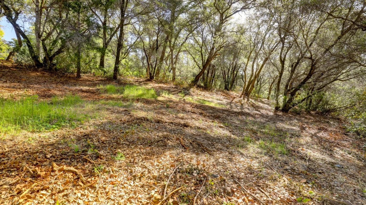 0 Southridge Road Penn Valley, CA 95946 - Photo 51 of 72