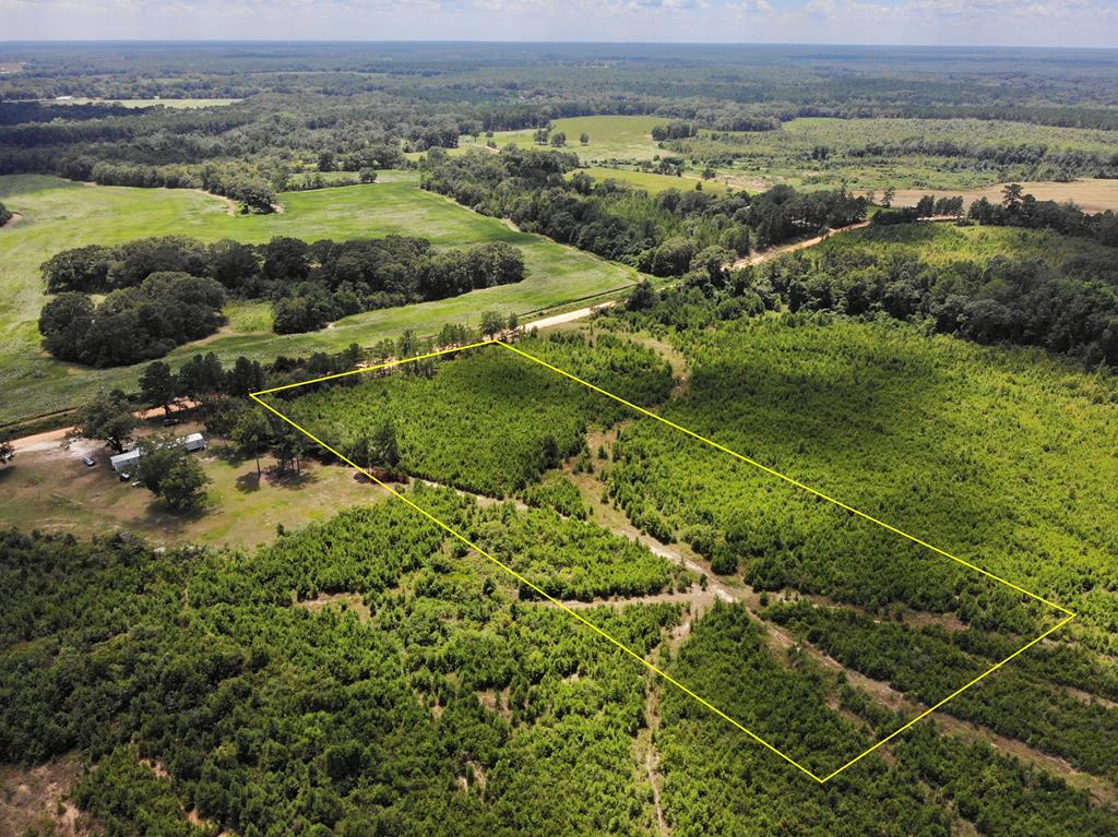 6-ac Old Elba Road Coffee Springs, AL 36318 - Photo 7 of 15