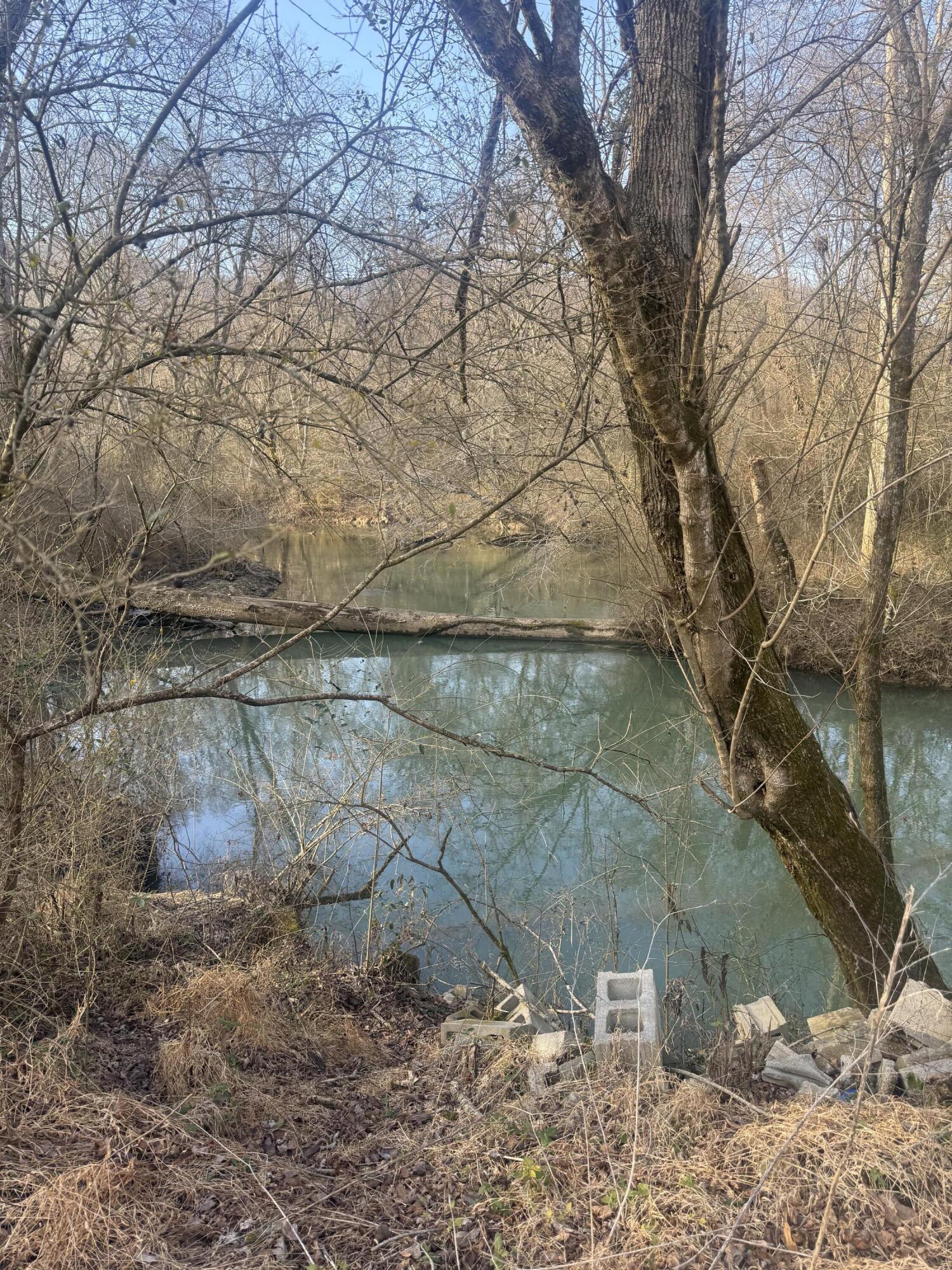 12 Burnt Mill Circle Flintstone, GA 30725 - Photo 2 of 18 IMG_8238