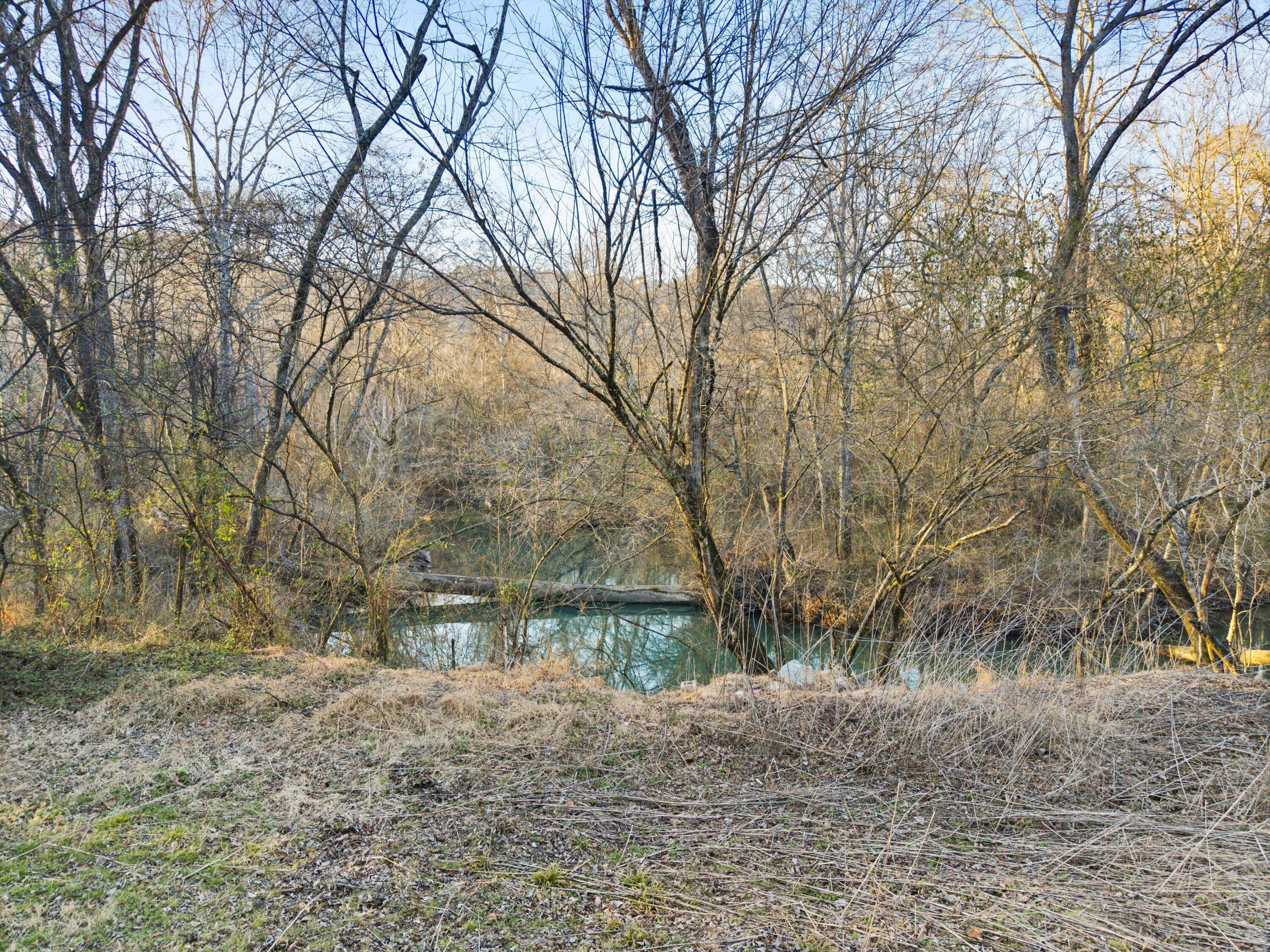 12 Burnt Mill Circle Flintstone, GA 30725 - Photo 3 of 18 10-DJI_20260202171743_0438_D