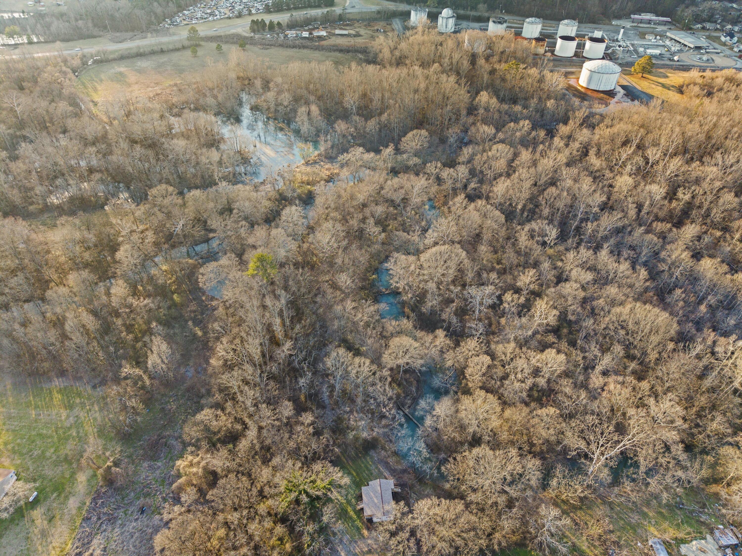 12 Burnt Mill Circle Flintstone, GA 30725 - Photo 6 of 18 02-DJI_20260202171132_0398_D