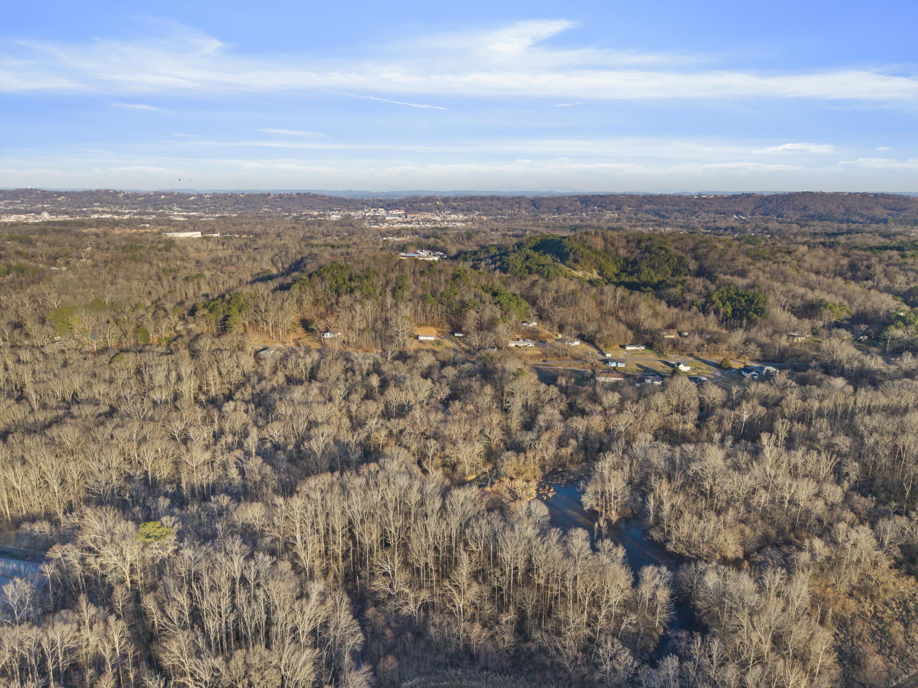 12 Burnt Mill Circle Flintstone, GA 30725 - Photo 8 of 18 04-DJI_20260202171314_0408_D