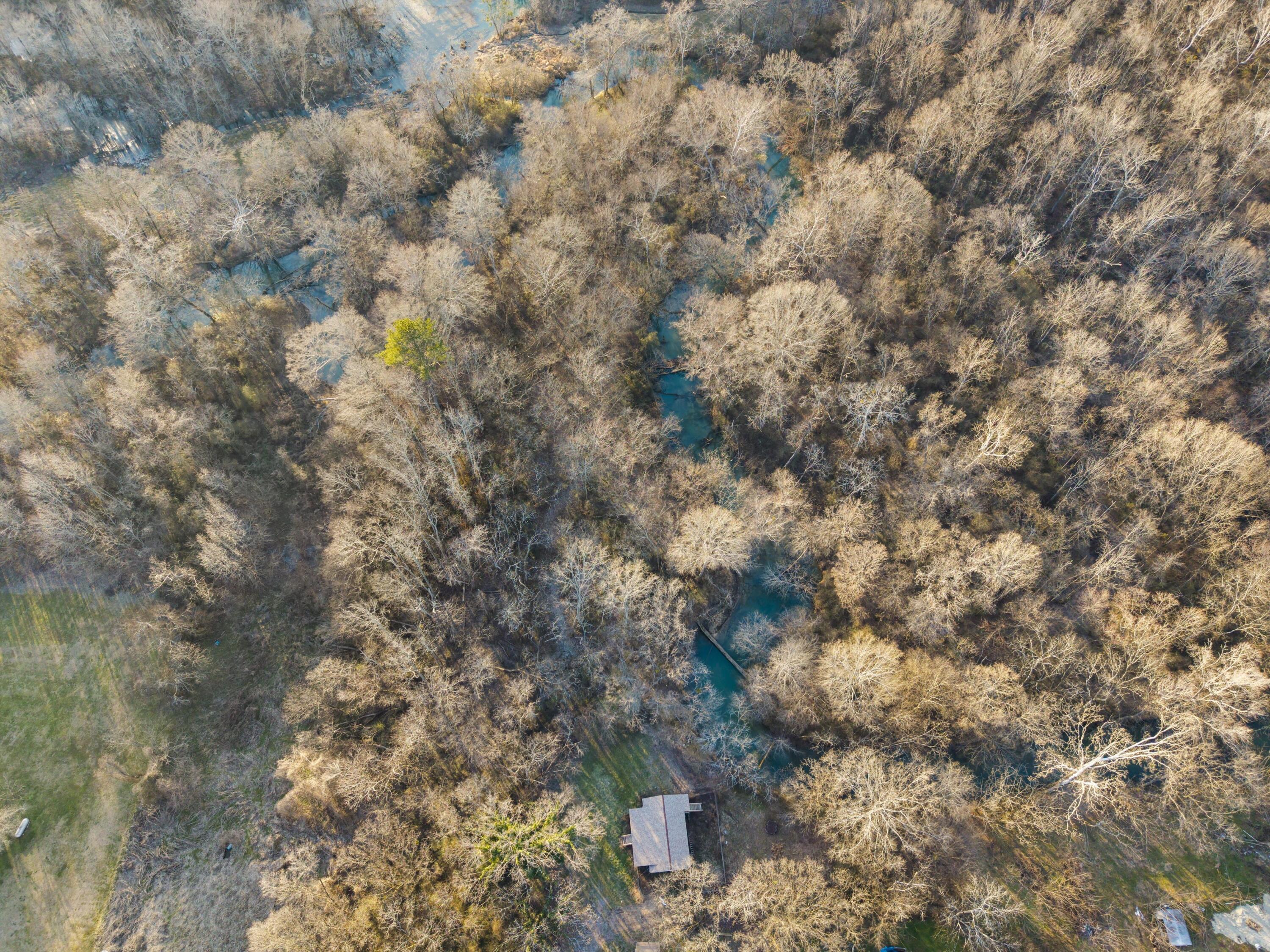12 Burnt Mill Circle Flintstone, GA 30725 - Photo 9 of 18 03-DJI_20260202171205_0402_D