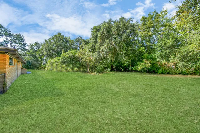 a view of yard with green space