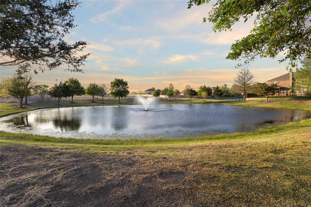 213 Arabian Road Waxahachie, TX 75165 - Photo 25 of 29 Water view