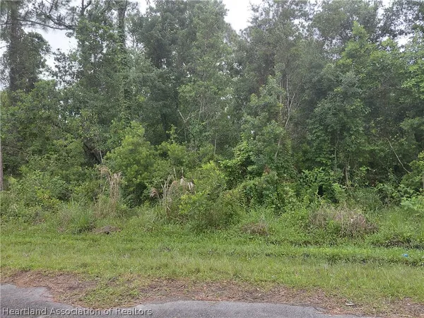 a view of a forest with lots of trees