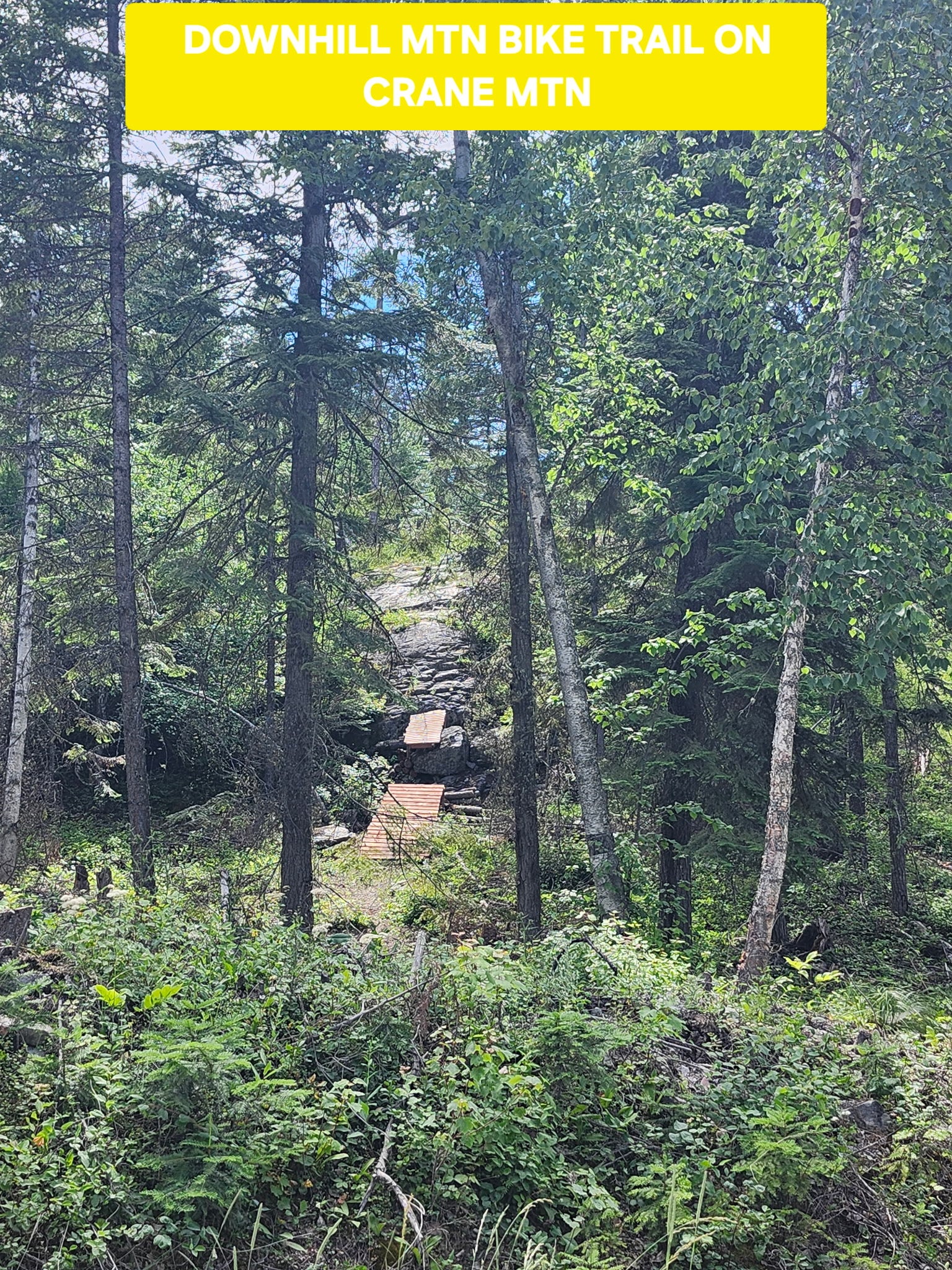 13376 Bug Creek Road Bigfork, MT 59911 - Photo 64 of 64 Gallery Image 64