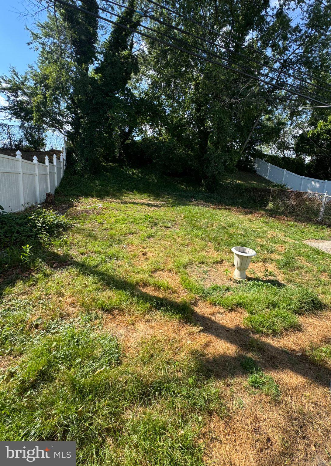 533 Tasker Avenue Norwood, PA 19074 - Photo 13 of 13 Lush green space awaits your vision.
