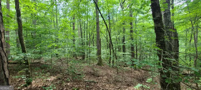 $89,000 | 261 Retreat Trail, LaGrange, GA 30240