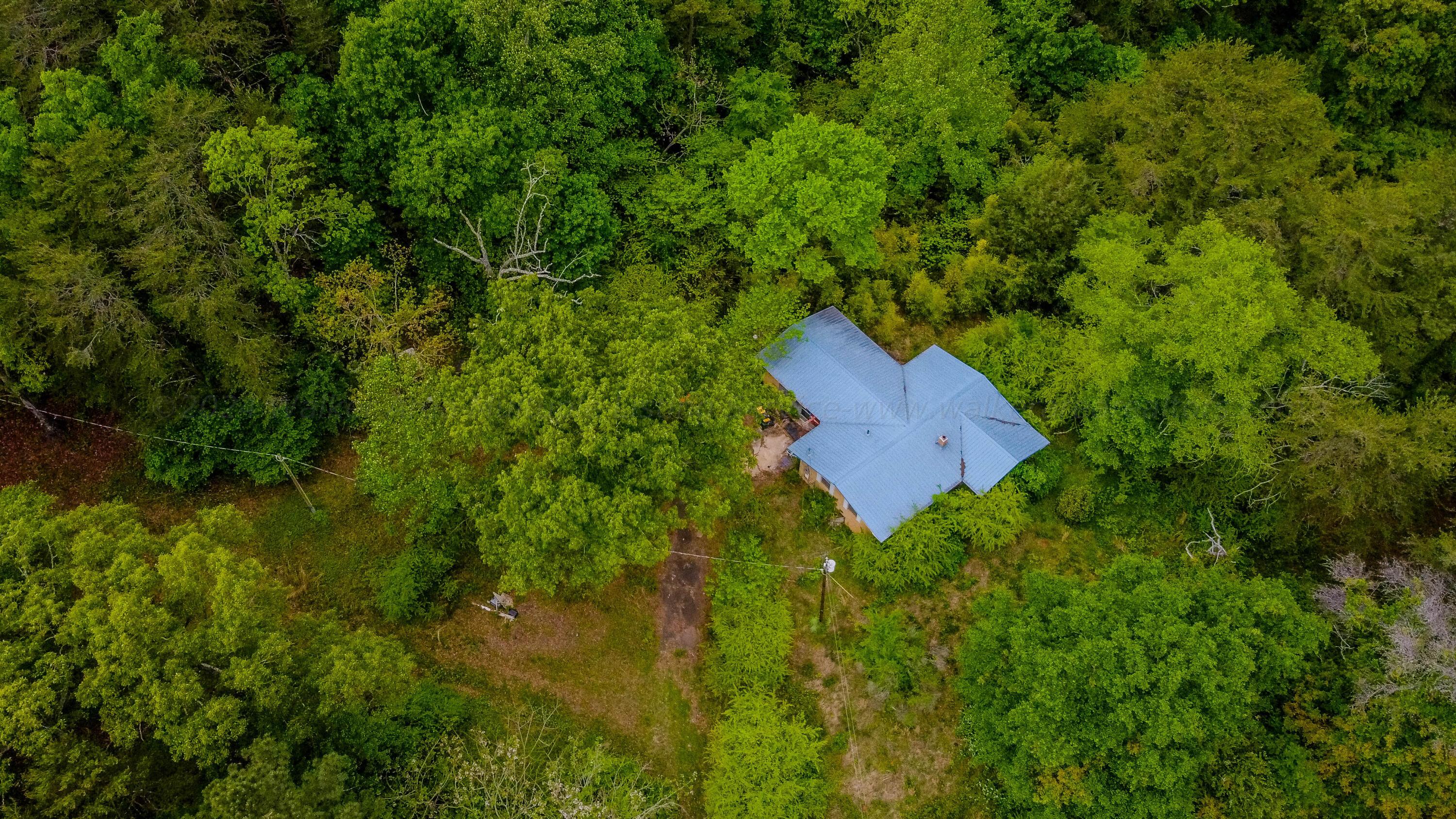 1783 Jent Road Cordova, AL 35550 - Photo 1 of 21 Gallery Image 1