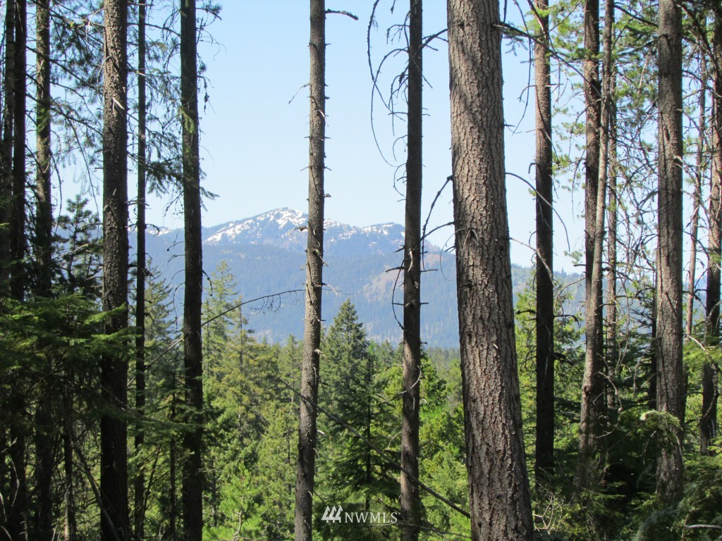 3 Fowler Creek Road Cle Elum, WA 98922 - Photo 1 of 12 Gallery Image 1