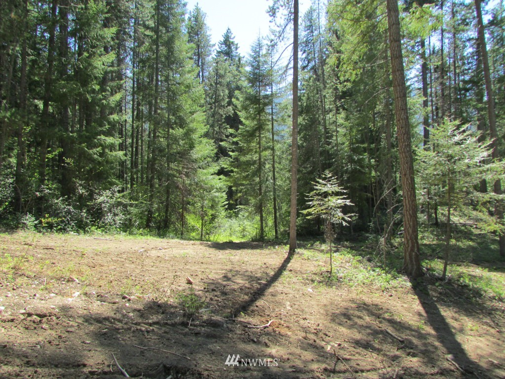 3 Fowler Creek Road Cle Elum, WA 98922 - Photo 4 of 12 Gallery Image 4