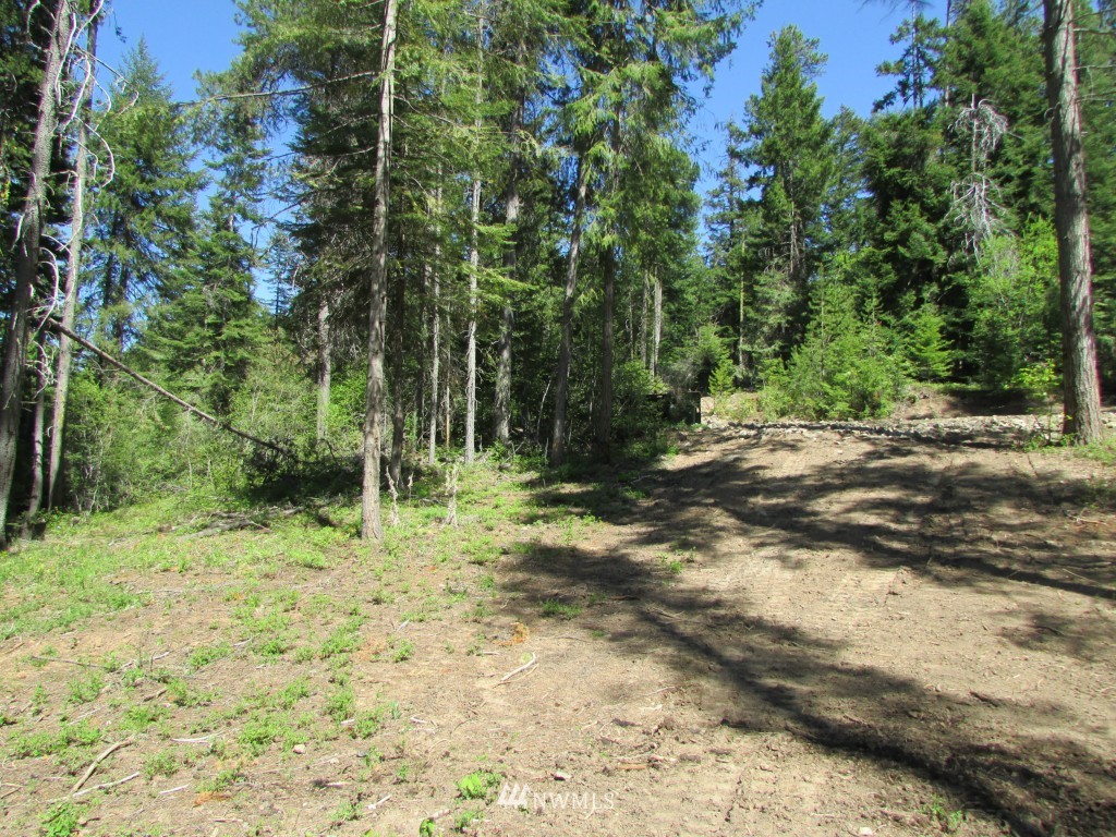 3 Fowler Creek Road Cle Elum, WA 98922 - Photo 5 of 12 Gallery Image 5