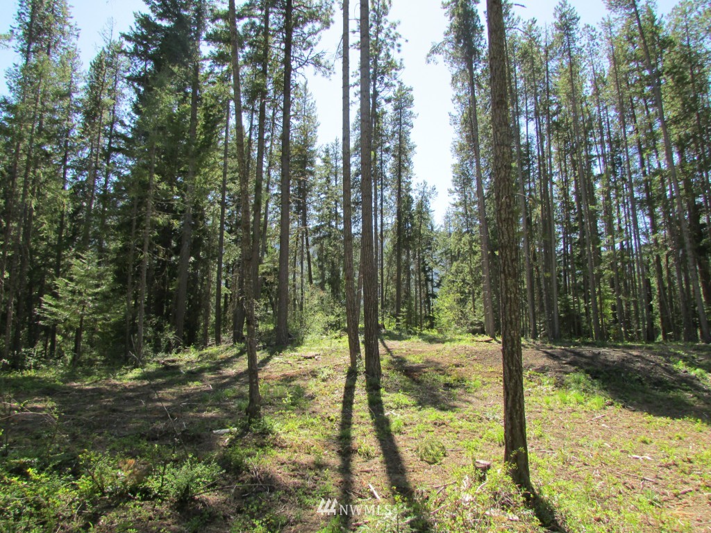 3 Fowler Creek Road Cle Elum, WA 98922 - Photo 7 of 12 Gallery Image 7