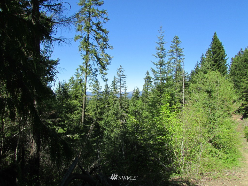 3 Fowler Creek Road Cle Elum, WA 98922 - Photo 8 of 12 Gallery Image 8