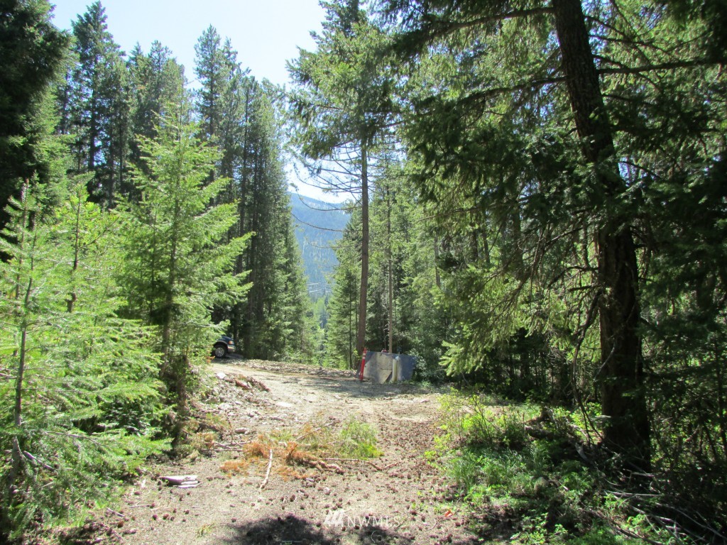 3 Fowler Creek Road Cle Elum, WA 98922 - Photo 9 of 12 Gallery Image 9