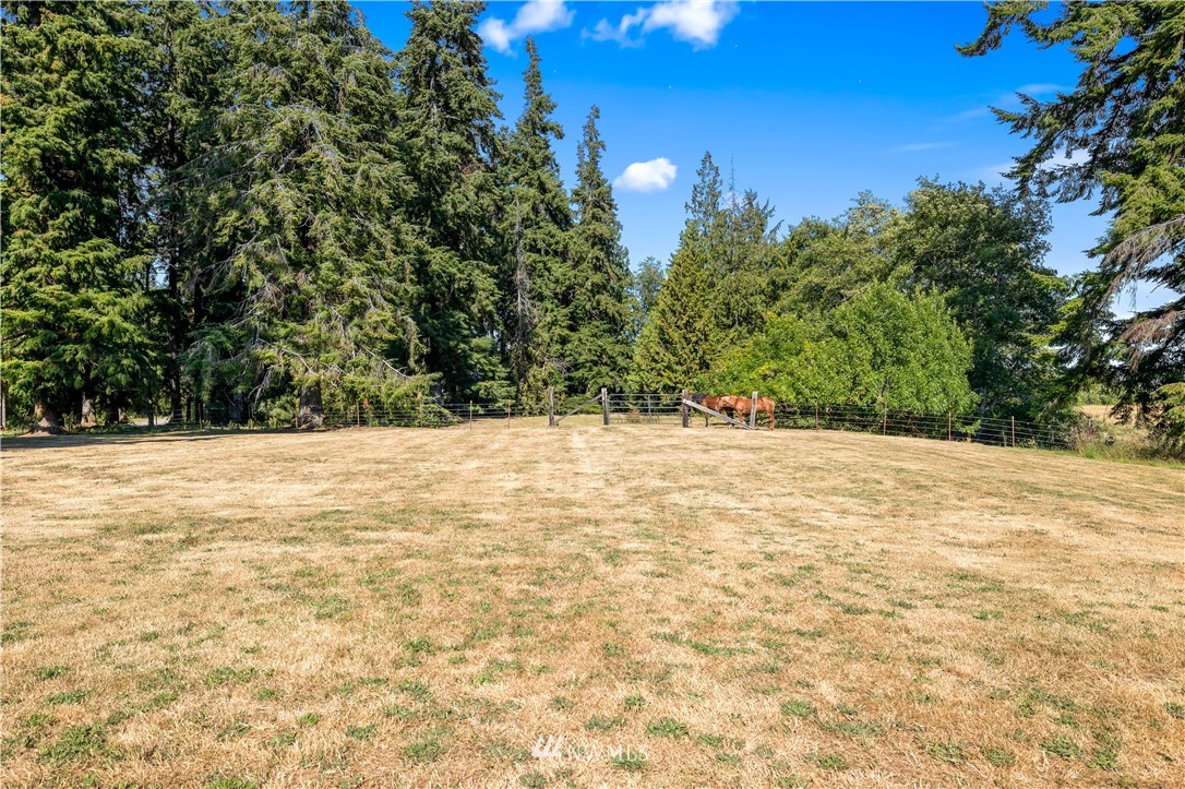 302 Monte Brady Road Montesano, WA 98563 - Photo 24 of 30 Gallery Image 24
