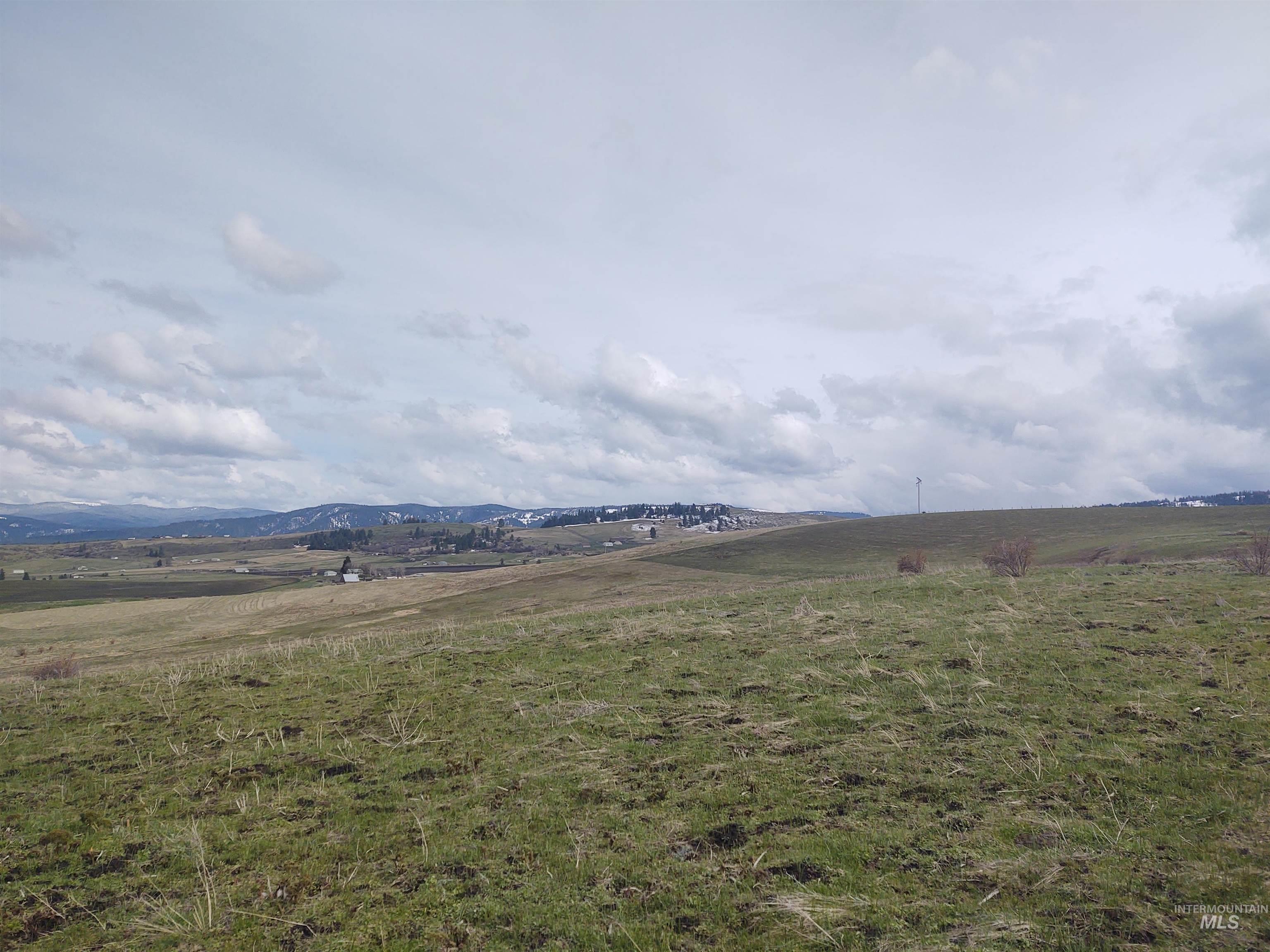 Lot 14 Knox Road Grangeville, ID 83530 - Photo 11 of 13