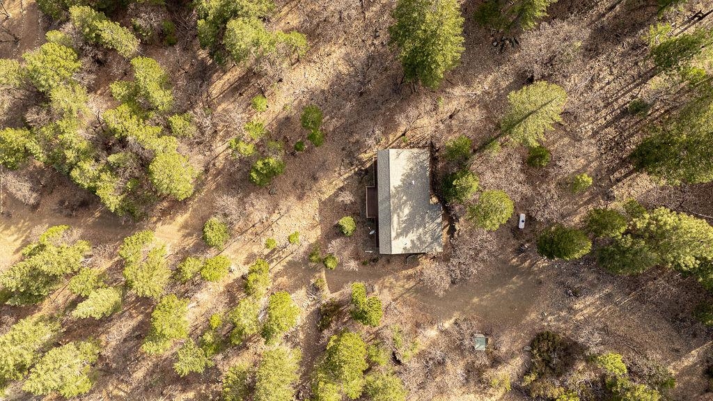 1771 Diamond Mountain Road Greenville, CA 95947 - Photo 22 of 31