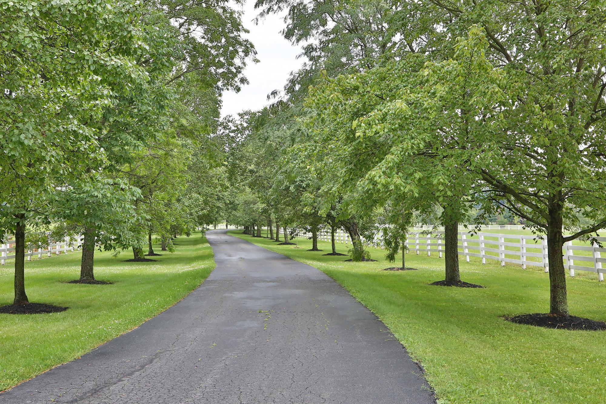12025 Cable Road Southwest Pataskala, OH 43062 - Photo 10 of 136