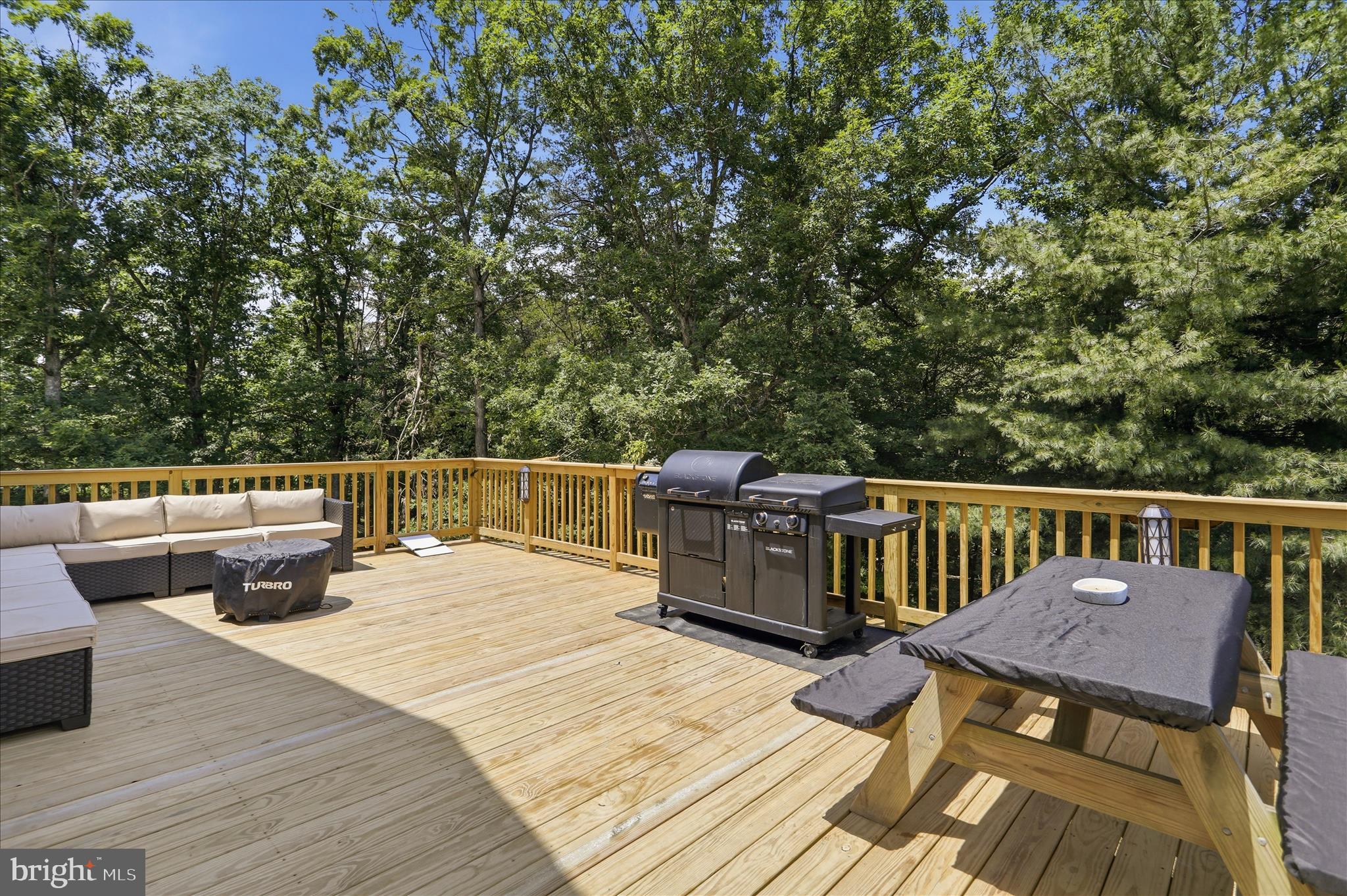 2334 Ash Ruckman Road Augusta, WV 26704 - Photo 53 of 72