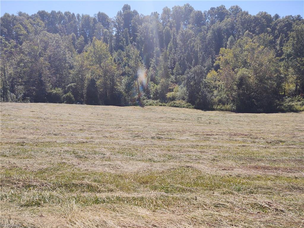 0 Brewer Mill Road Traphill, NC 28685 - Photo 2 of 6 Gallery Image 2