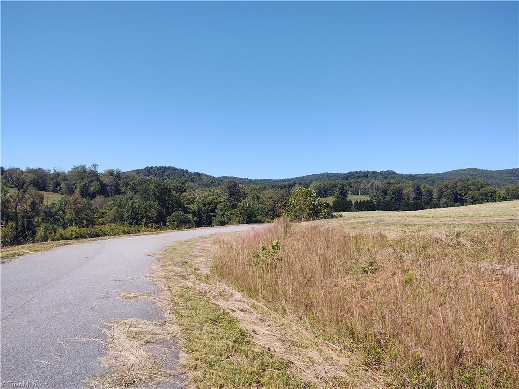 0 Brewer Mill Road Traphill, NC 28685 - Photo 3 of 6 Gallery Image 3