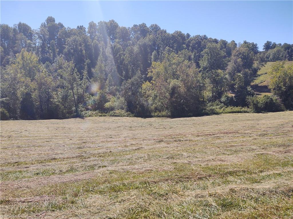 0 Brewer Mill Road Traphill, NC 28685 - Photo 4 of 6 Gallery Image 4