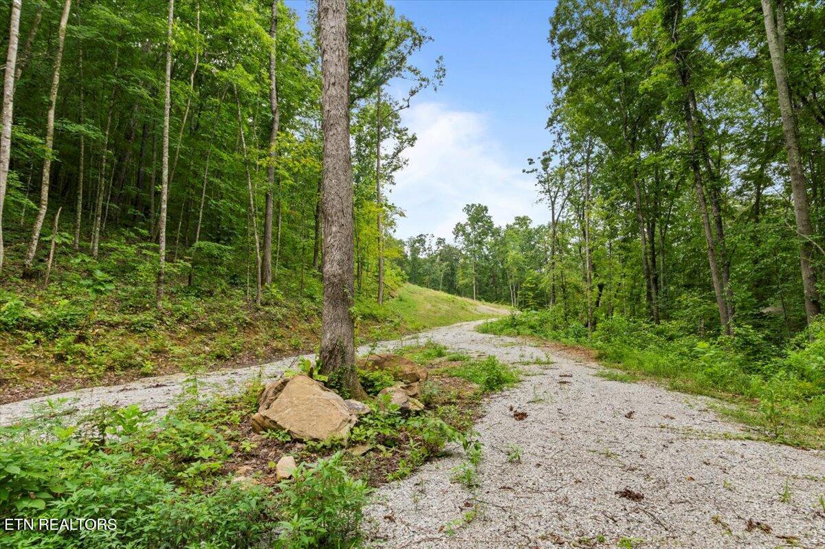 143 Elk Ridge Lane Newcomb, TN 37819 - Photo 34 of 45 16-Elk Rdg
