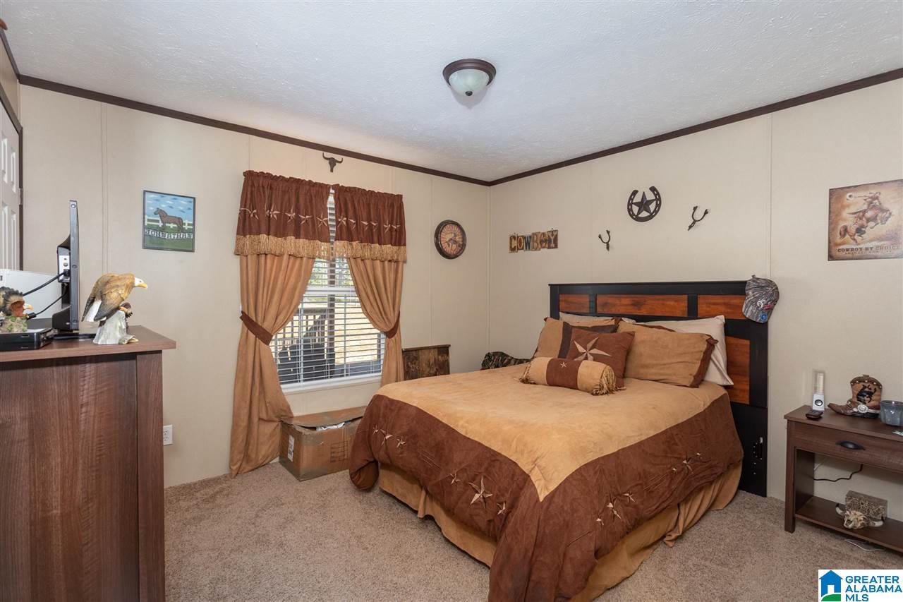 260 Sulphur Springs Road Lincoln, AL 35096 - Photo 23 of 47