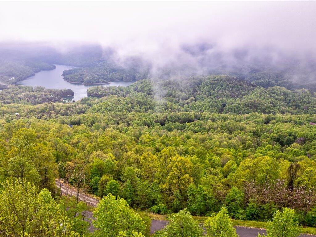 Lot 196 Clinch View Road, Unit 196 New Tazewell, TN 37825 - Photo 24 of 28 Lot 196 Clinch Valley Rd - 25