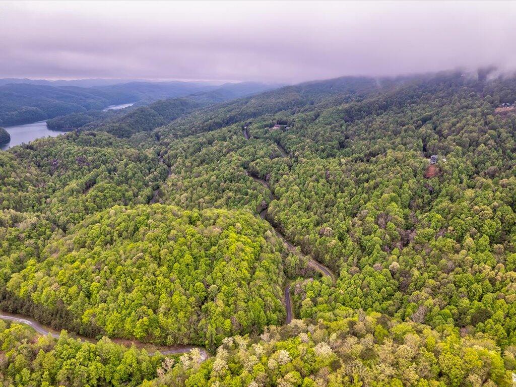 Lot 196 Clinch View Road, Unit 196 New Tazewell, TN 37825 - Photo 27 of 28 Lot 196 Clinch Valley Rd - 28