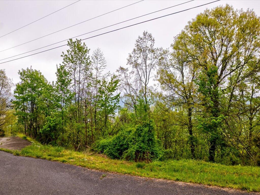 Lot 196 Clinch Valley Rd - 5