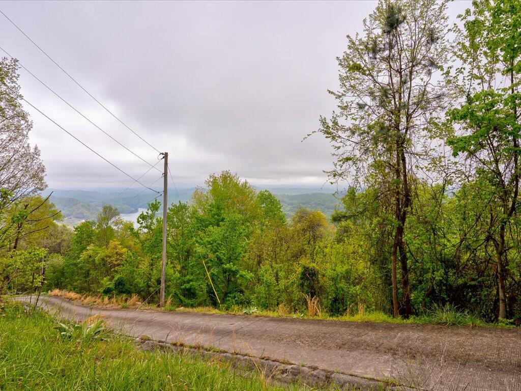 Lot 196 Clinch Valley Rd - 8