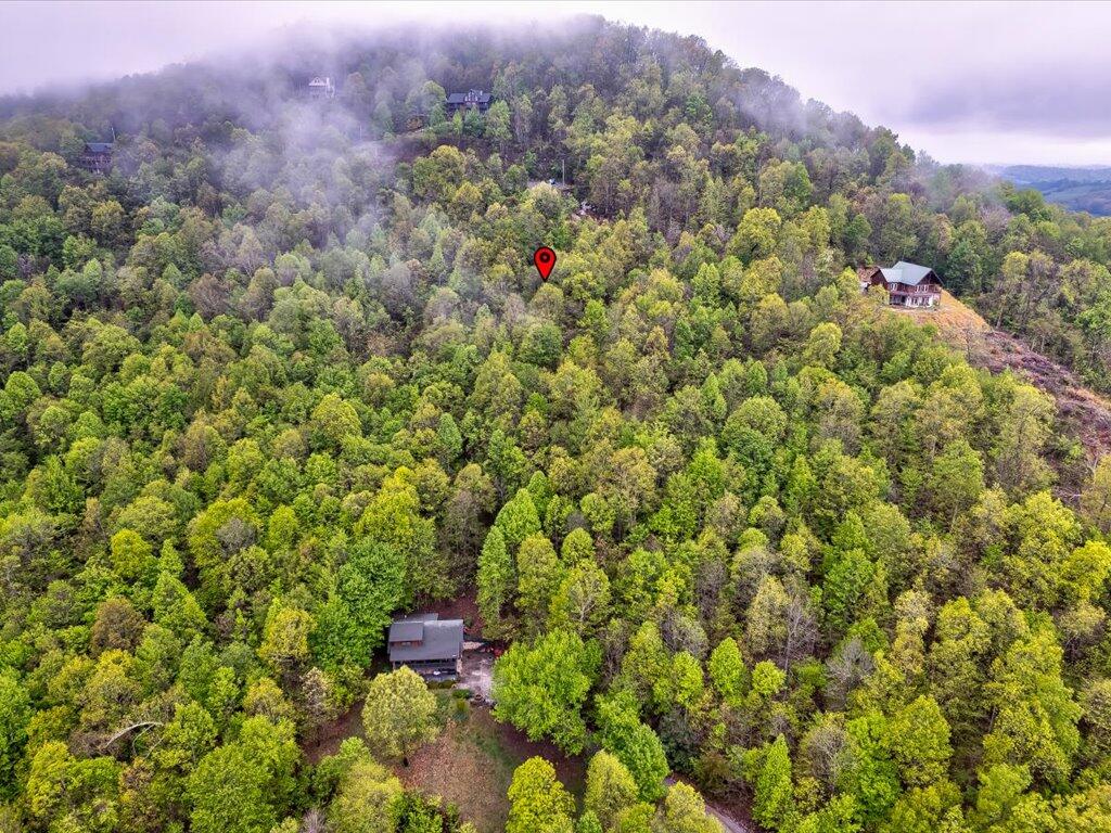 Lot 196 Clinch View Road, Unit 196 New Tazewell, TN 37825 - Photo 8 of 28 Lot 196 Clinch Valley Rd - 9
