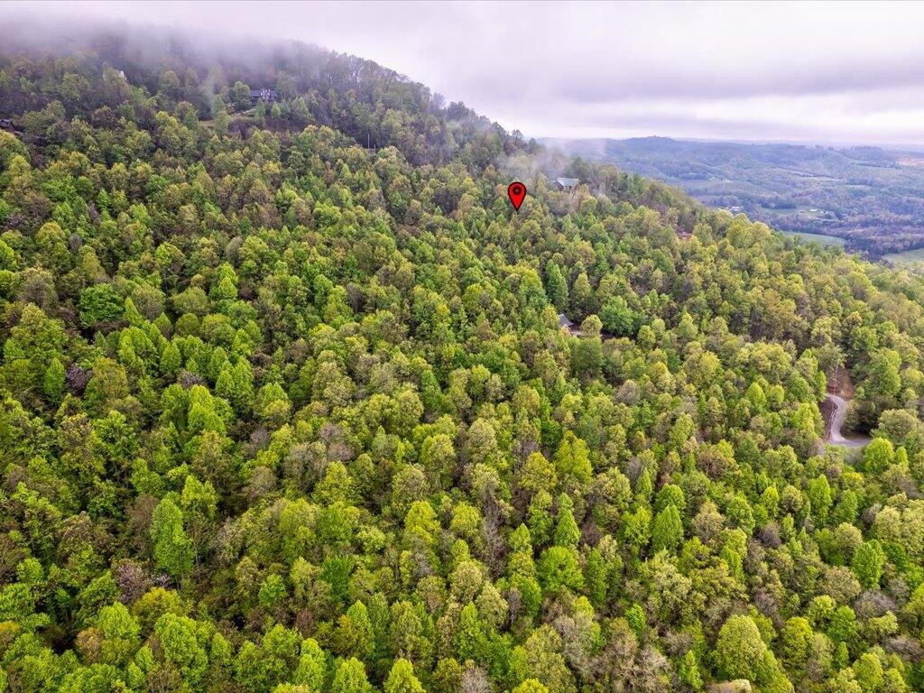 Lot 196 Clinch View Road, Unit 196 New Tazewell, TN 37825 - Photo 9 of 28 Lot 196 Clinch Valley Rd - 10