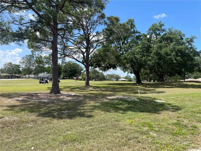 a view of a yard with a tree