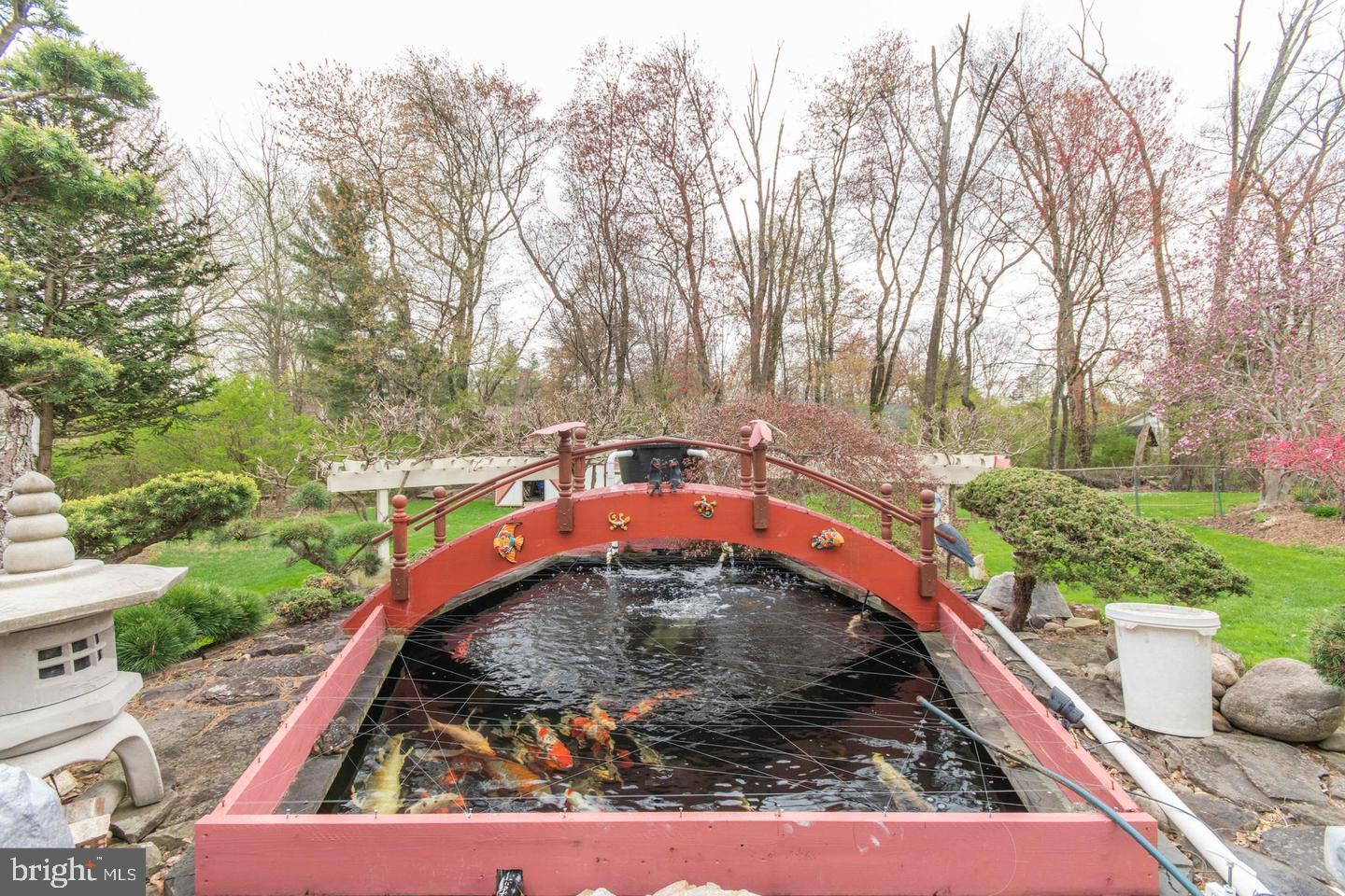 933 Herman Road Horsham, PA 19044 - Photo 45 of 59 Koi Pond (backyard)